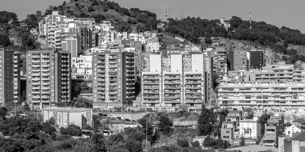 Redacción / Ejecución de Testamentos Madrid · Derechos del Cónyuge Viudo en Herencias